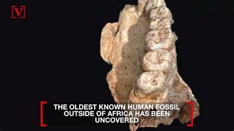 Oldest human fossil found outside of Africa