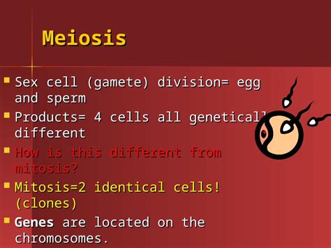 Ppt Meiosis Sex Cell Gamete Division Egg And Sperm Sex Cell