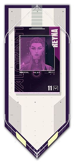 Reyna Id · Valorant Player Card