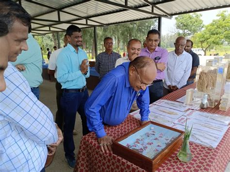 Hon Ble Vice Chancellor Dr Z P Patel Visited Main Rice Research