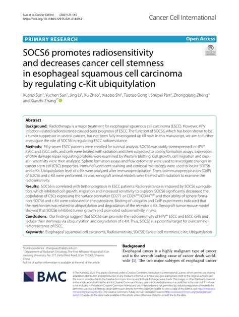 Socs6 Promotes Radiosensitivity And Decreases Cancer Cell Stemness In