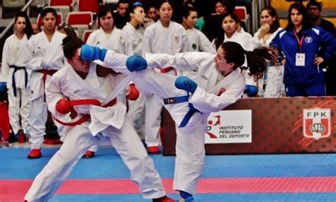 Selección Peruana Logra 4 Medallas En Panamericano Senior Karate Mrprepor El Karate En Internet