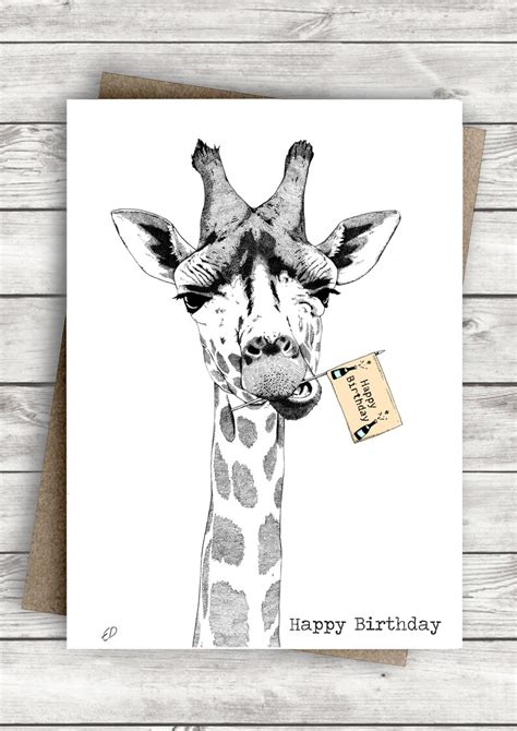 Pack of 6 Animal Birthday Cards Cute Birthday Card Pack Funny Birthday ...