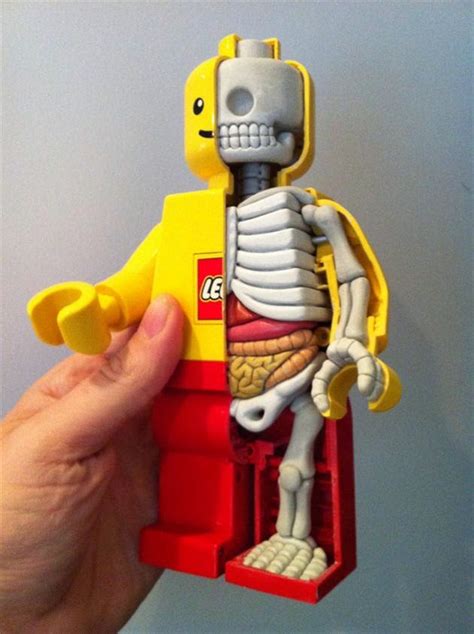 Ideas De Lego Cuerpo Humano De Lego