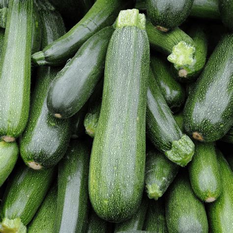 La Courgette Légumes Cerise et Potiron Primeur Lyon