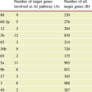 The List Of The MiRNAs Potentially Involved In The AJ Pathway