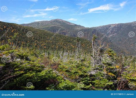 White Mountains Stock Image Image Of Pine White Tranquil 31173815