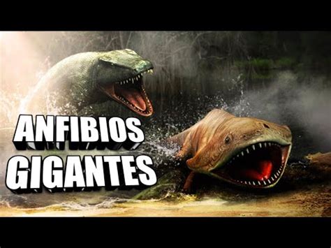 Conoce a los ANFIBIOS FÓSILES GIGANTES Temnospóndilos YouTube