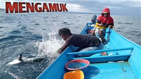 Ikan Ini Sampai Mengamuk Di Samping Perahu YouTube