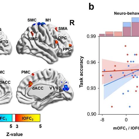 Results From The Whole Brain Multi Voxel Pattern Analysis MVPA