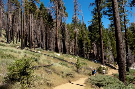 Mariposa Grove Trail to Wawona Point