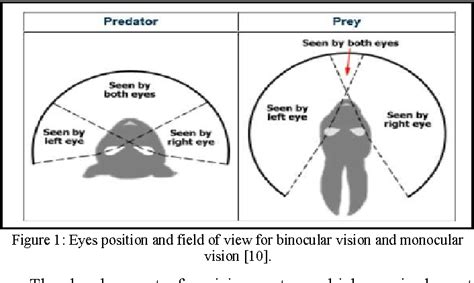 Figure 1 From Monocular Vision System Development For Depth Estimation