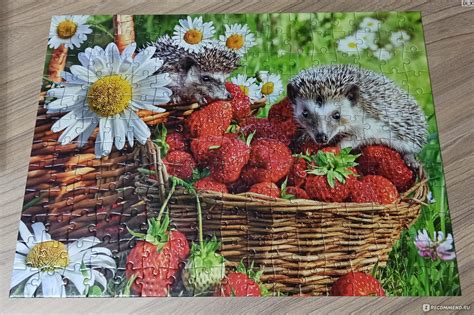 Пазлы Castorland puzzle Strawberry dessert Castorland puzzle