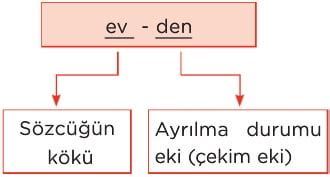 Sözcüklerin Yapı Özellikleri Türkçe 6 Sınıf Konu Anlatımı Örnekler