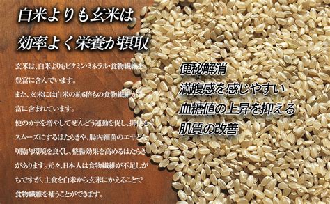 岩手県矢巾町 徳田米の産地より「令和6年産銀河のしずく玄米 10kg」の返礼品詳細 Jr東日本が運営【jre Mallふるさと納税】