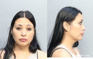 RENDINI PRISCILLA 10 17 2023 Miami Dade County Mugshots Zone