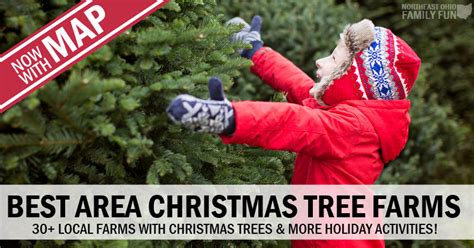 Best Local Christmas Tree Farms {2020} – 30 Delightful Farms You'll Adore