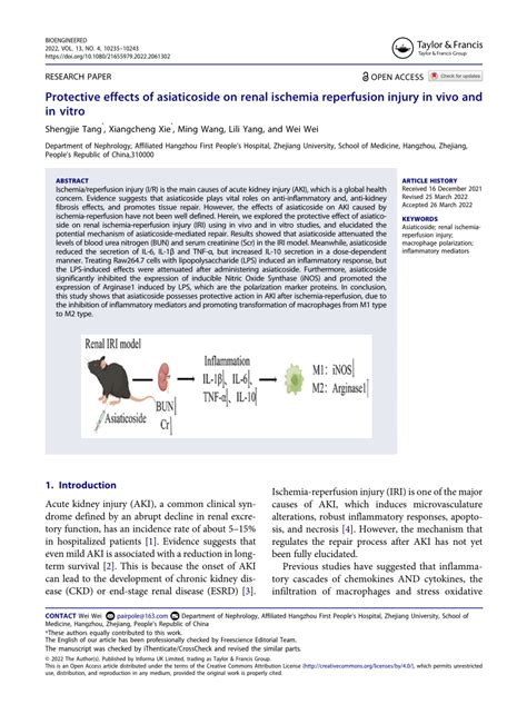 Pdf Protective Effects Of Asiaticoside On Renal Ischemia Reperfusion