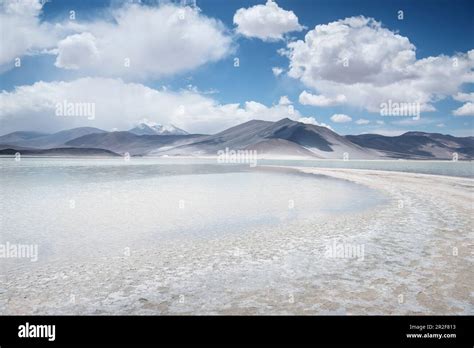 Piedras Rojas Lagoon Altiplanicas Lagoon Altiplano Plateau Atacama