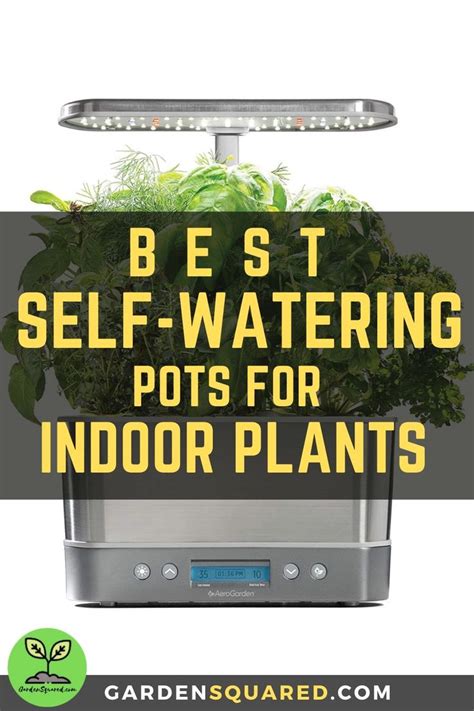 Best Self-Watering Pots for Indoor Plants | Self watering pots, Indoor ...