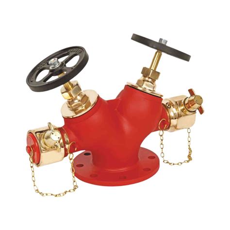 Buy Newage Isi Marked Double Headed Hydrant Valve Gunmetal