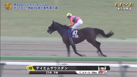 2023【フェブラリーステークス】本馬場入場 競馬動画まとめ