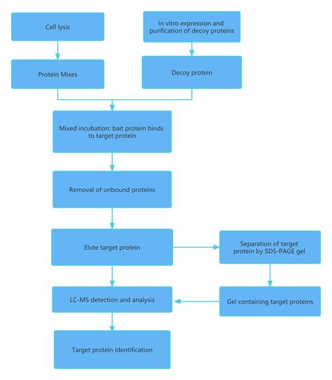 Gst Pull Down Service Creative Proteomics