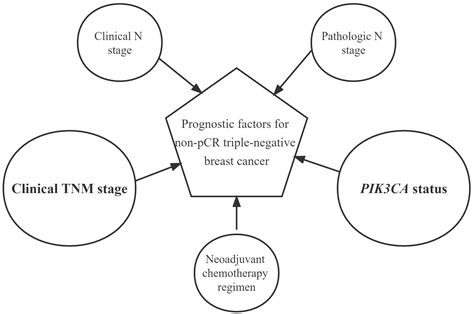 Jpm Free Full Text Prognostic Factors For Triple Negative Breast