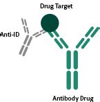 Anti-idiotypic Antibodies | Sino Biological