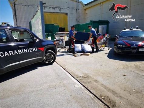 Furto Al Mercatone Uno Di Monsano Beccato Dai Carabinieri Il Ladro