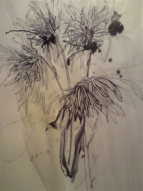 Drawing Dead: Intriguing Beauty of Withered Flowers