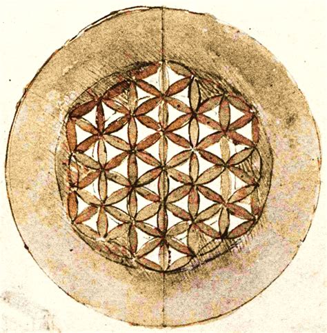 Fiore Della Vita Leonardo Da Vinci Geometria Sacra