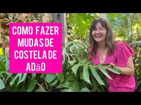 COMO FAZER MUDAS DE COSTELA DE ADÃO YouTube