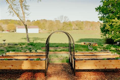 Grow More In Small Spaces With Metal Garden Arch Trellises From ...