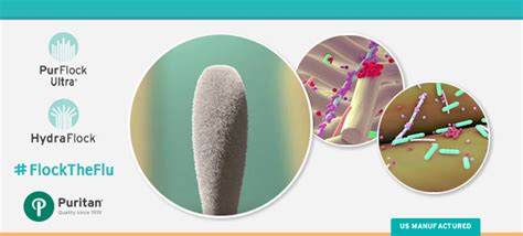 How to Choose the Right Type of Flu Swab for Influenza Diagnosis