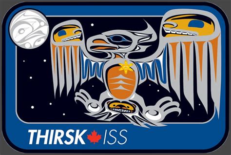 Patch: Robert Thirsk ISS-20 / 21