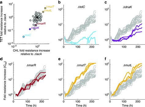 Changes In Resistance Evolvability Are Correlated Across Different