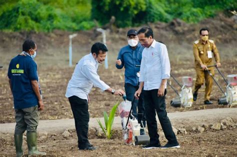 Teknologi Smart Farming Untuk Petani Milenial Seperti Apa Republika