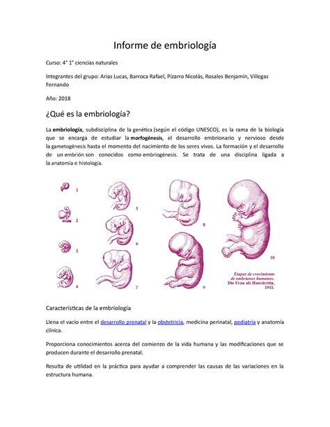 Informe de embriología Informe de embriología Curso 4 1 ciencias