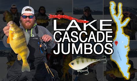 lake cascade idaho – Target Walleye