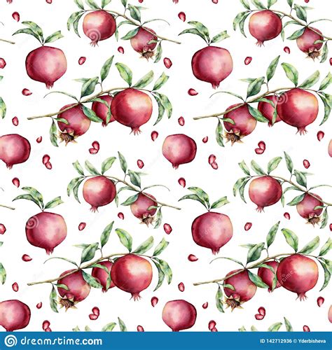 Watercolor Pomegranate Seamless Pattern Hand Painted Garnet Fruit