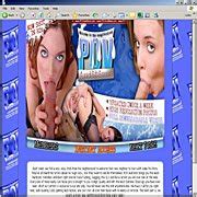 FreeOnes Gives Porn Site POV Auditions An Overall Review Rating Of