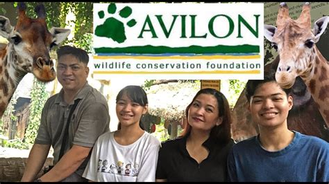 Avilon Zoo Largest Zoological Institution In The Philippines L Feeding