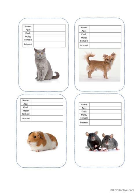 Describing Pets Vocabulary Flashcar English Esl Worksheets Pdf And Doc