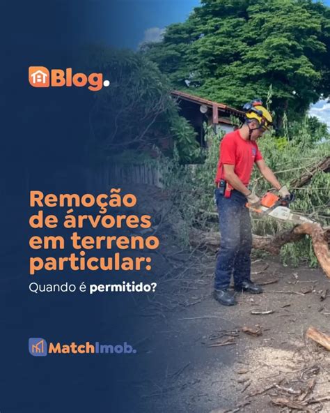 Corte De Arvores Em Terreno Particular