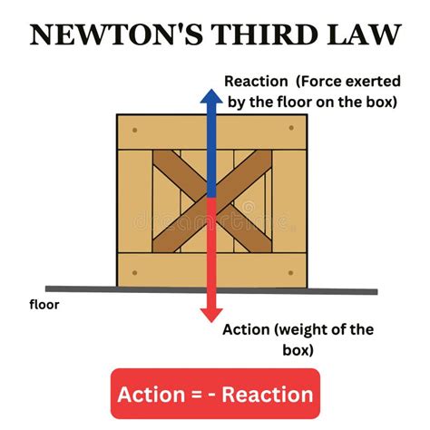 Newtons Third Law Example Newton S Law 3rd Science Box Action Reaction Example Stock Vector