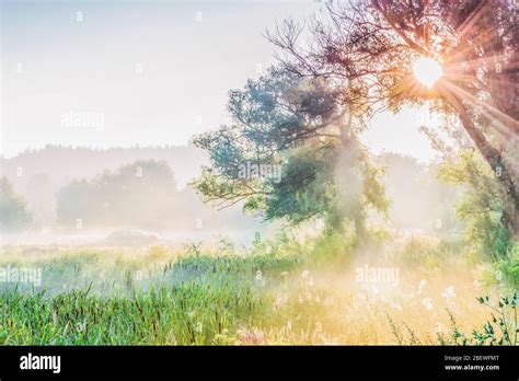 Misty Dawn At The Lake Stock Photo Alamy