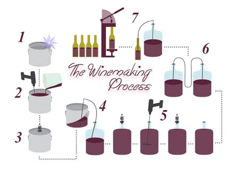 Winemaking Process - Peninsula U-Brew Winery - Sidney, BC 