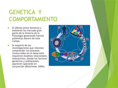 Relacion Entre Genetica Y Comportamiento Ppt