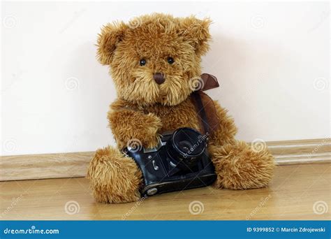 Teddy Bear Holding A Camera Stock Photo Image Of Leaning Sitting